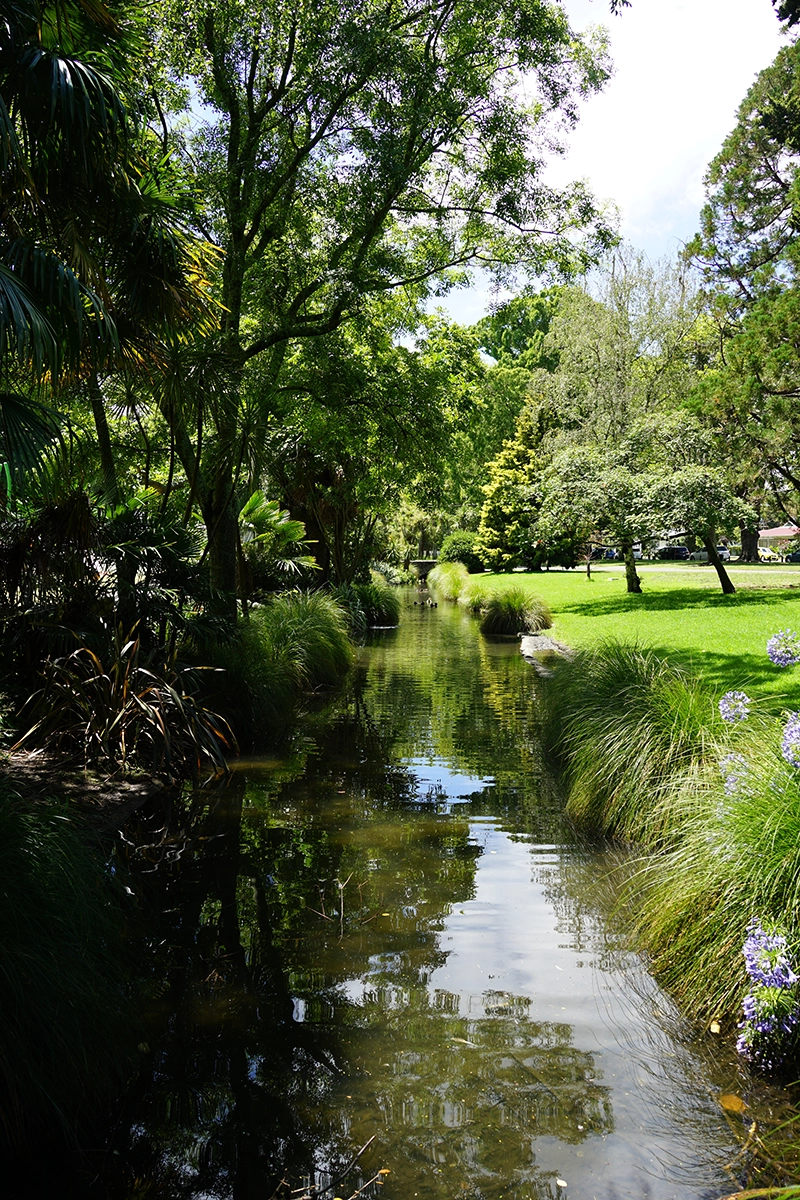 A shaded garden pond surrounded by greenery
